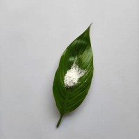 九朋防老化抗菌涂料專用間接法50納米氧化鋅CYNX32-03