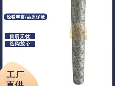 廠家替代 PSFG336MIC01EB派瑞燃氣過濾器濾芯