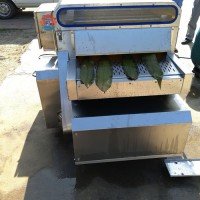 全自動粽子葉清洗機多功能葉子清洗設備粽子加工全套設備