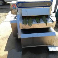 粽葉清洗設備 五香粽子粽葉清洗機 箬竹粽葉連續式清洗機